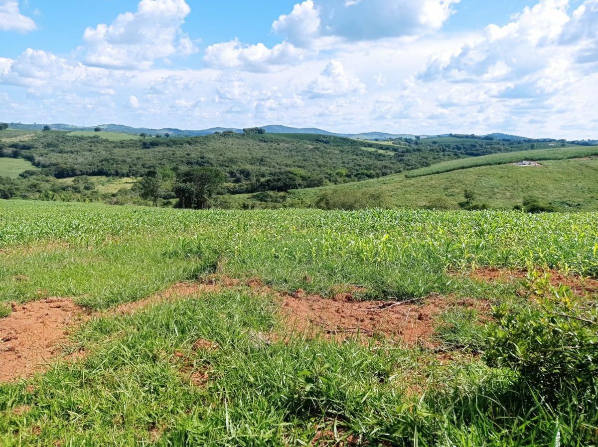 Fazenda, Zona Rural, 0 Quarto, 0 Vaga
