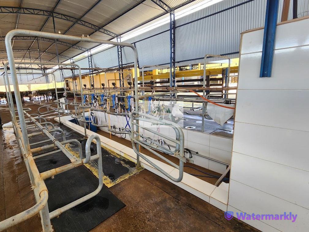 Fazenda, Centro, 6 Quartos, 4 Vagas, 1 Suíte