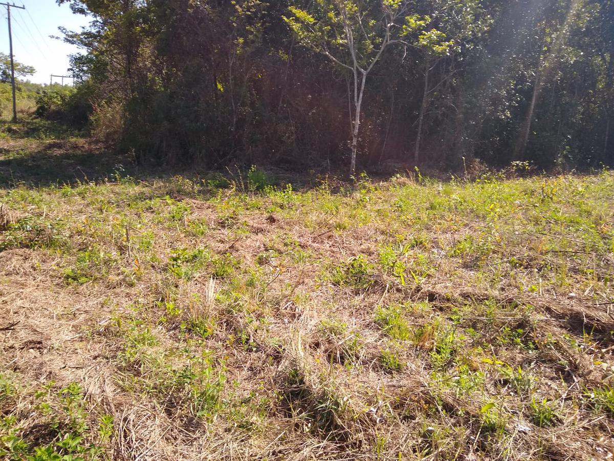 Lote, Zona Rural, 0 Quarto, 0 Vaga