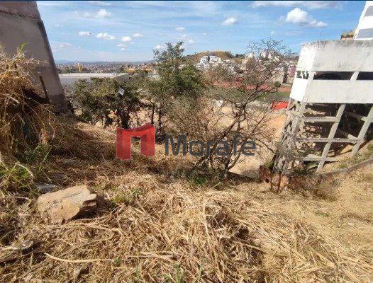 Lote, Santa Cruz, 0 Quarto, 0 Vaga