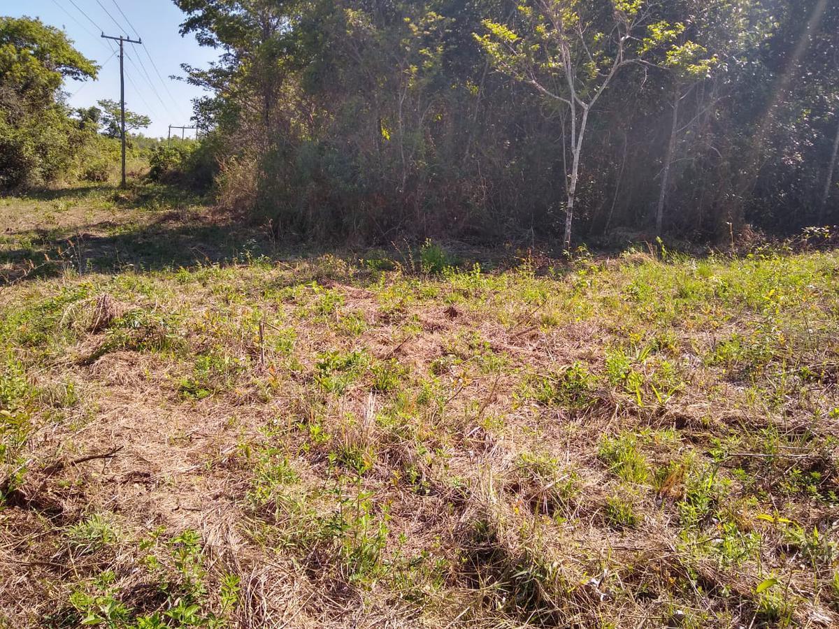 Lote, Zona Rural, 0 Quarto, 0 Vaga