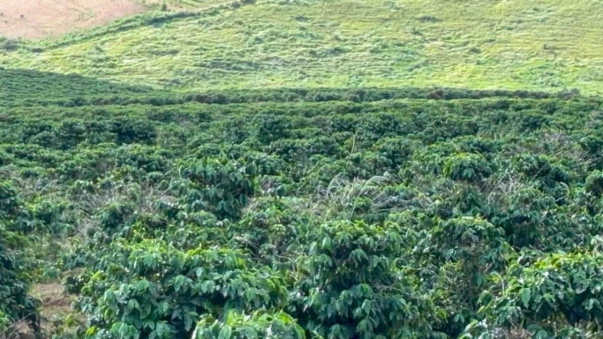 Fazenda, Zona Rural, 0 Quarto, 0 Vaga