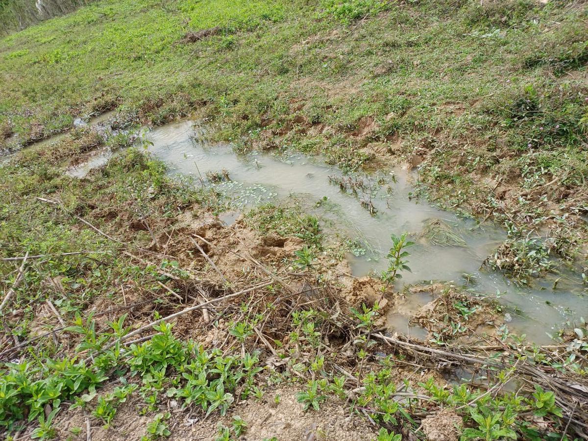 Fazenda, Centro, 3 Quartos, 10 Vagas