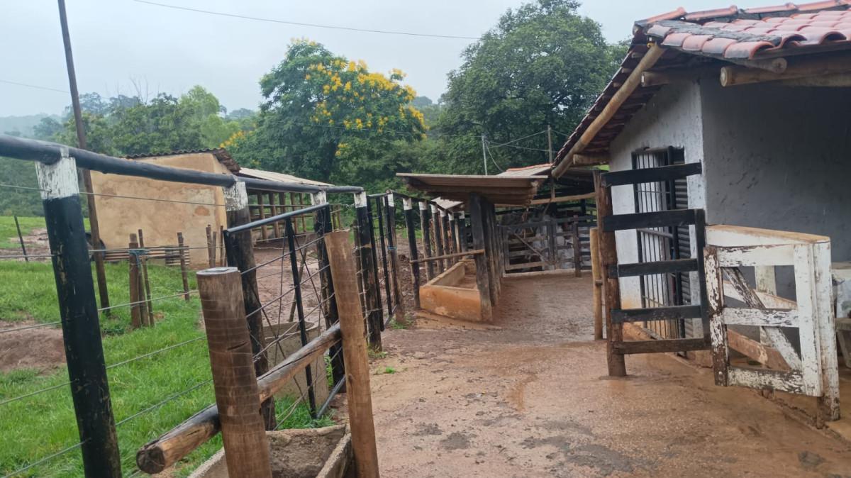 Fazenda, Centro, 3 Quartos, 100 Vagas