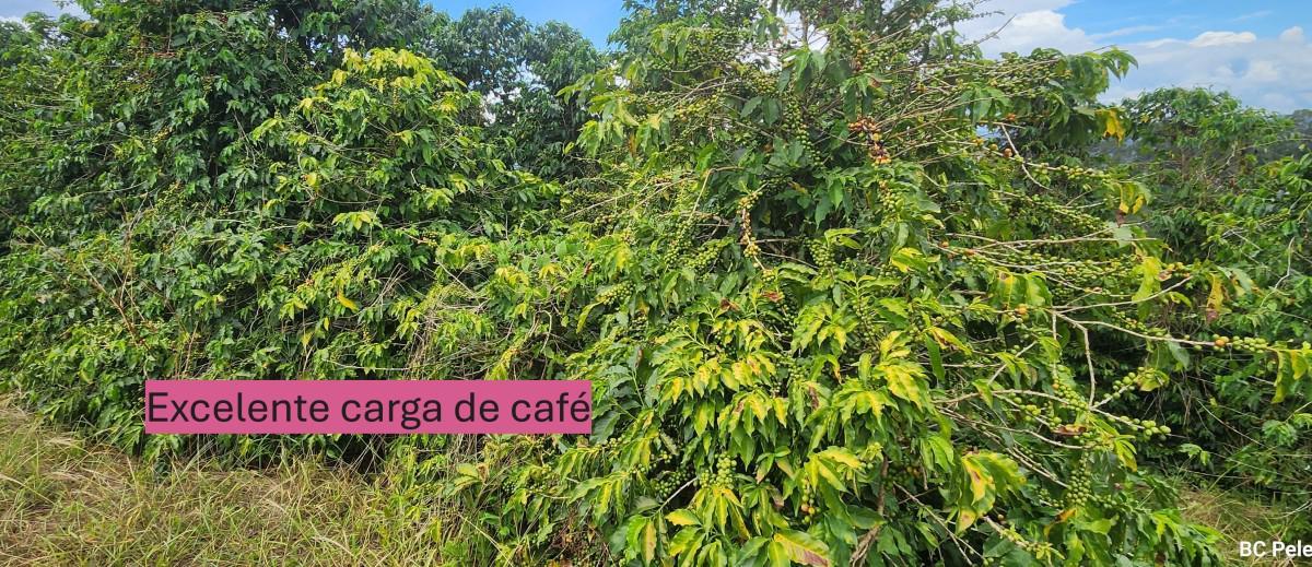 Fazenda, Zona Rural, 0 Quarto, 0 Vaga