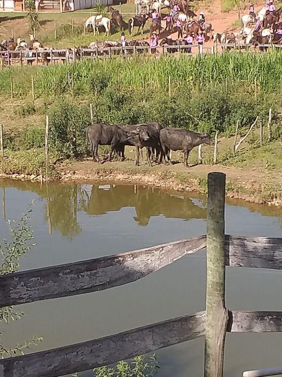 Fazenda, Centro, 3 Quartos, 0 Vaga, 1 Suíte