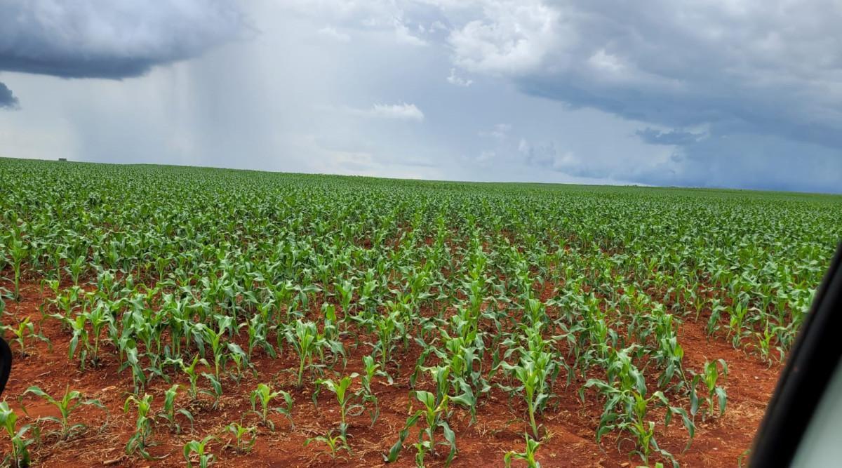 Fazenda, Zona Rural, 0 Quarto, 0 Vaga