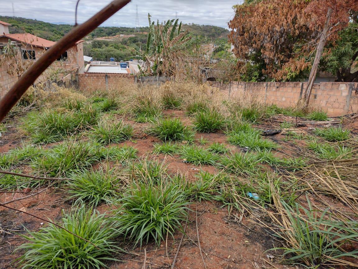 Lote, Icaivera, 0 Quarto, 0 Vaga