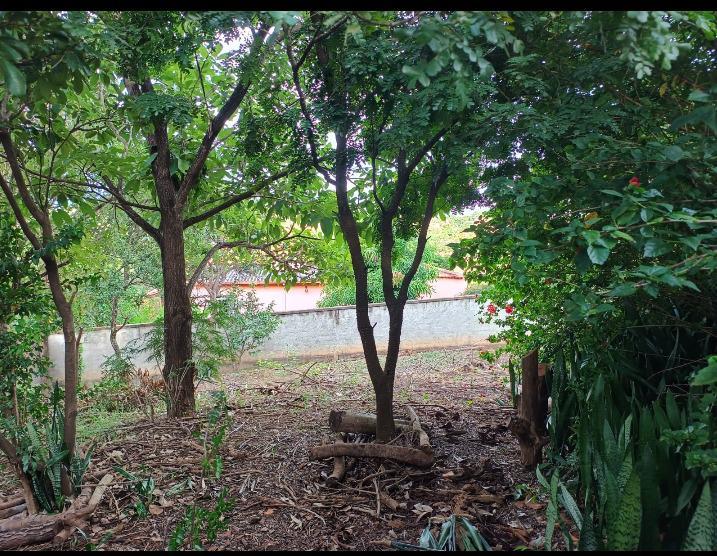 Lote, Granja Vista Alegre, 0 Quarto, 0 Vaga