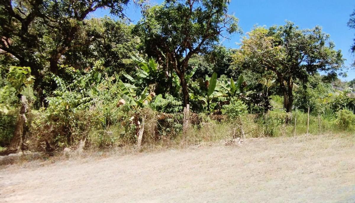 Lote, Solar do Madeira, 0 Quarto, 0 Vaga