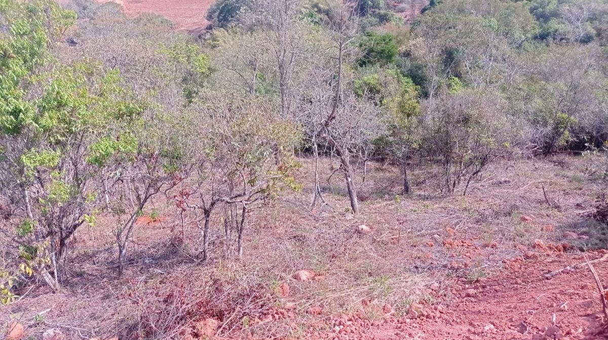 Fazenda, Zona Rural, 0 Quarto, 0 Vaga