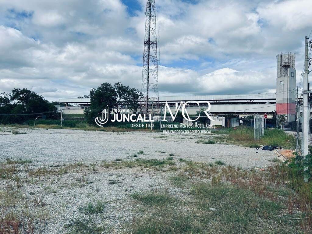 Lote, São Paulo