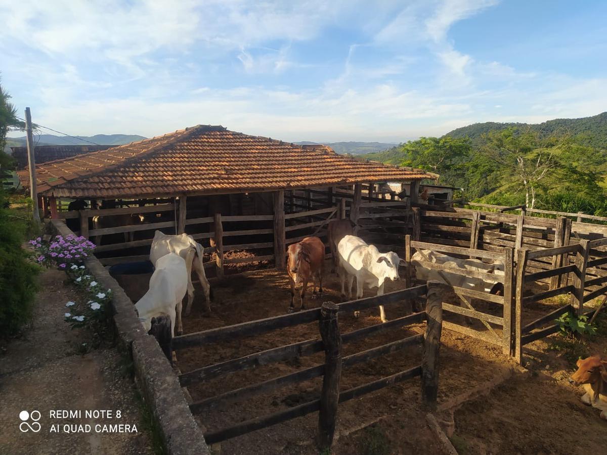 Fazenda, Zona Rural, 3 Quartos, 0 Vaga