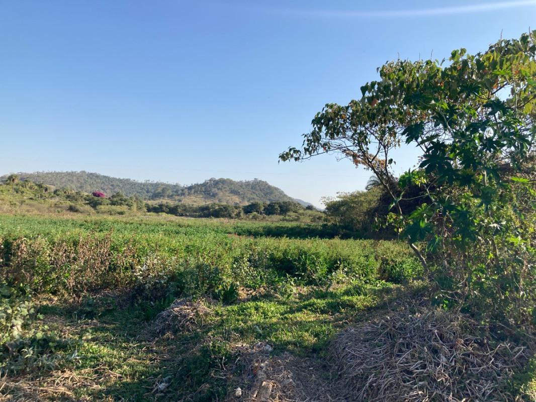 Lote, Santinho, 0 Quarto, 0 Vaga