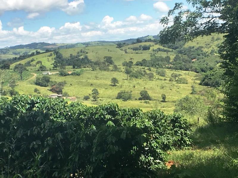 Fazenda, Zona Rural, 0 Quarto, 0 Vaga