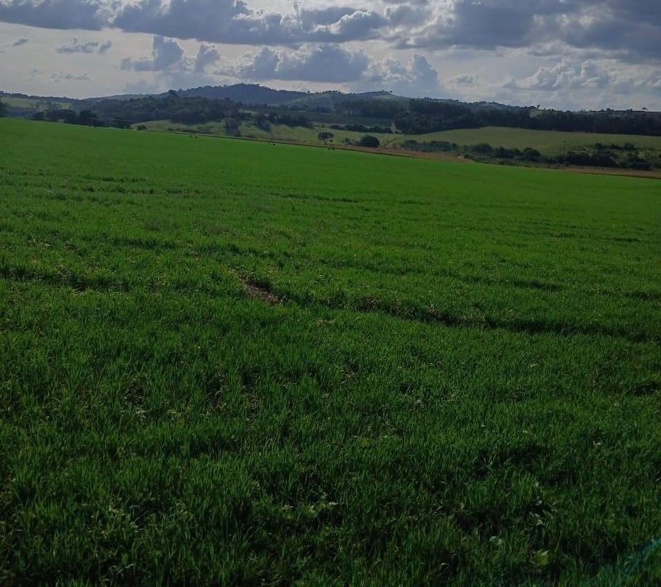 Fazenda, Zona Rural, 3 Quartos, 0 Vaga