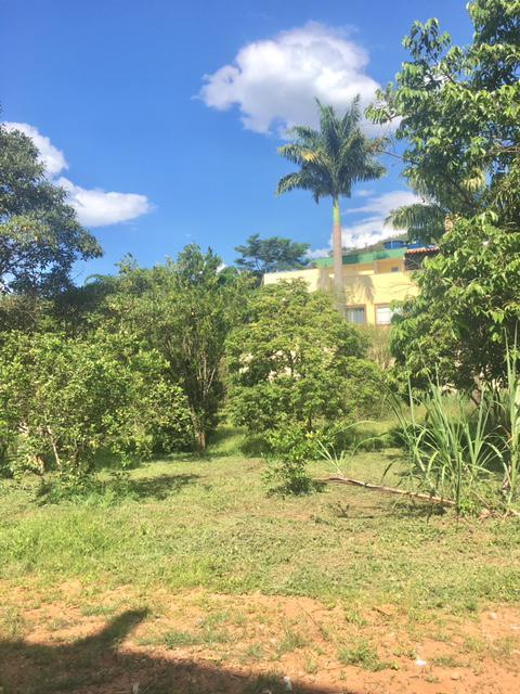 Lote, Paciência, 0 Quarto, 0 Vaga