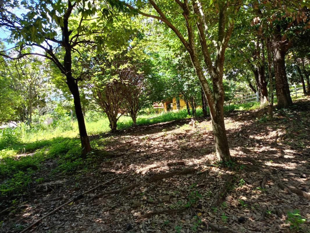 Fazenda, Ravena, 5 Quartos, 2 Vagas, 4 Suítes