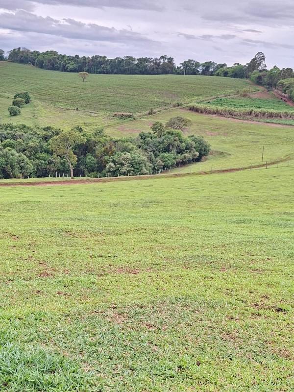 Fazenda, Zona Rural, 0 Quarto, 0 Vaga