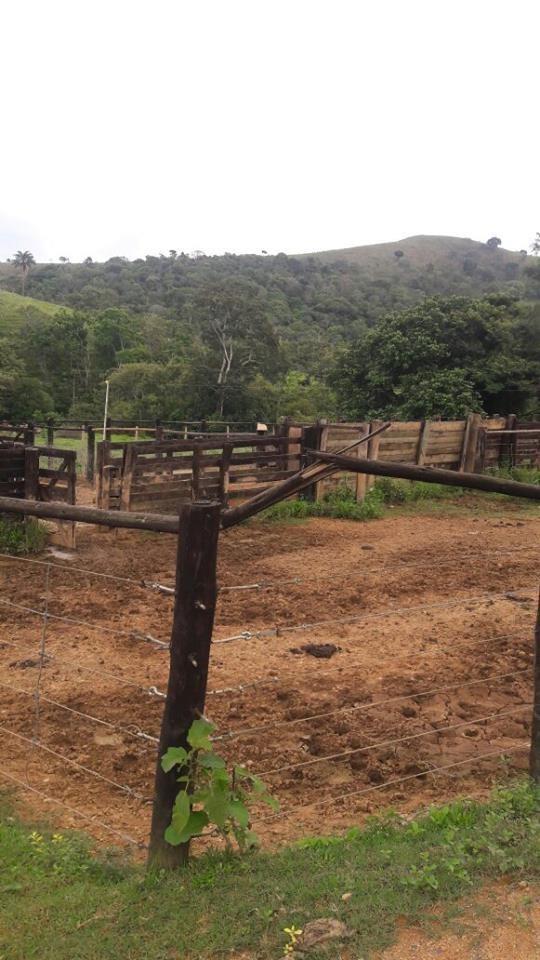 Fazenda, Centro, 1 Quarto, 1 Vaga, 1 Suíte