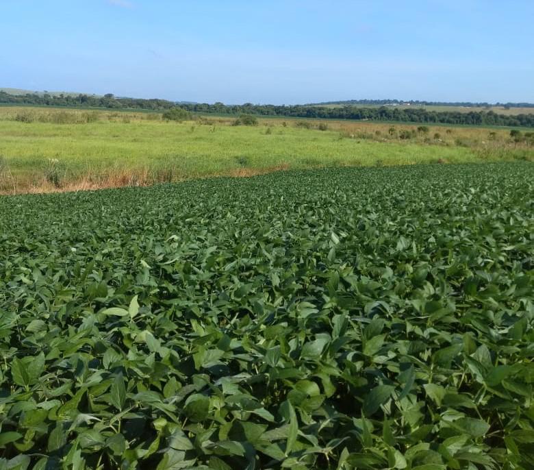 Fazenda, Centro, 0 Quarto, 0 Vaga