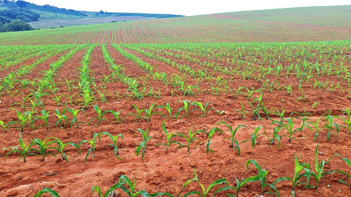 Fazenda, Zona Rural, 3 Quartos, 0 Vaga