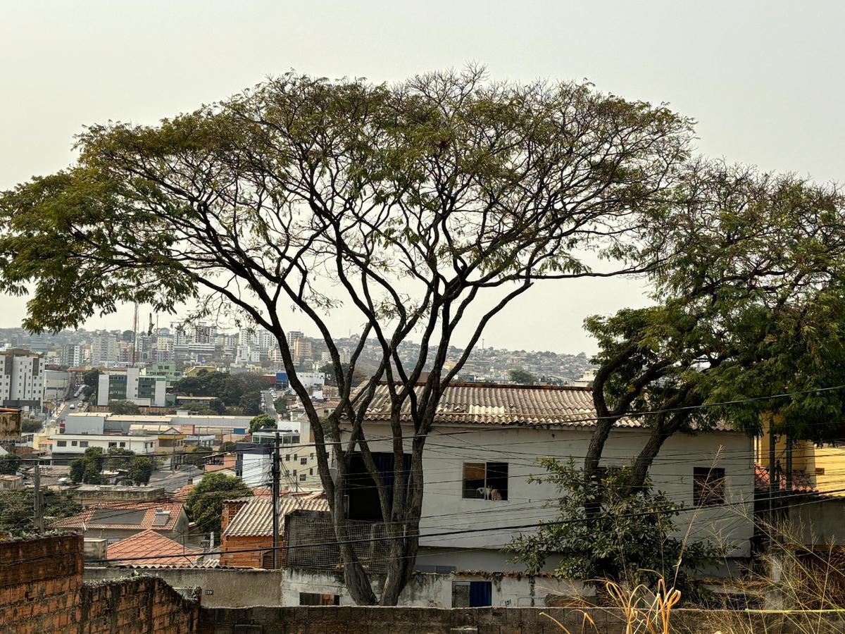 Lote, Glória, 0 Quarto, 0 Vaga