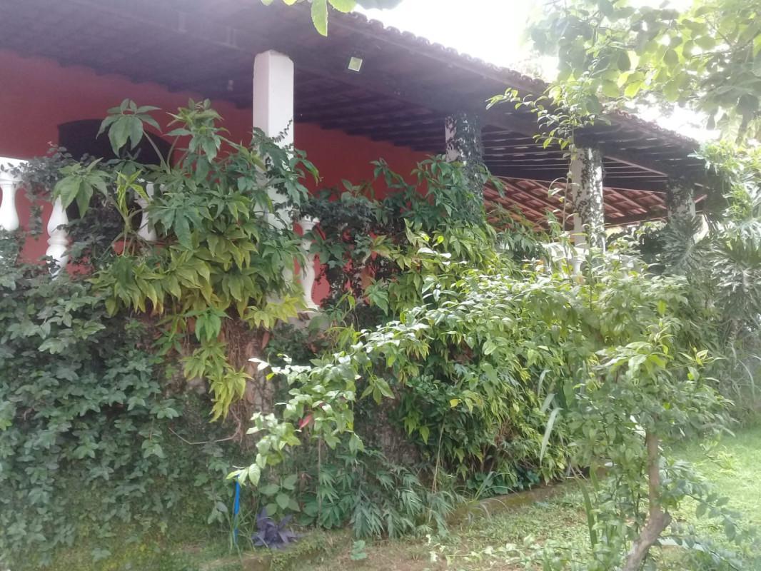 Fazenda, Centro, 4 Quartos, 6 Vagas
