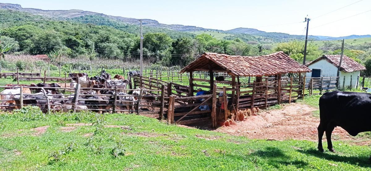 Fazenda, Zona Rural, 0 Quarto, 0 Vaga