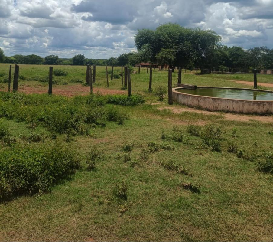Fazenda, Zona Rural, 0 Quarto, 0 Vaga