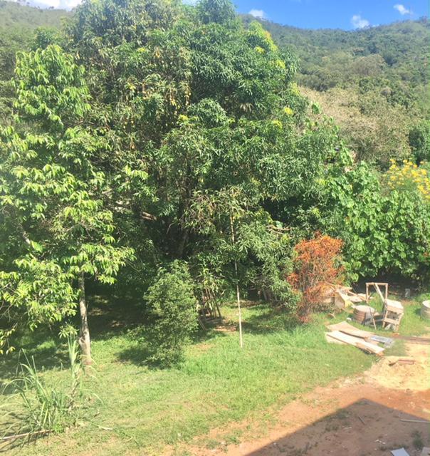 Lote, Paciência, 0 Quarto, 0 Vaga