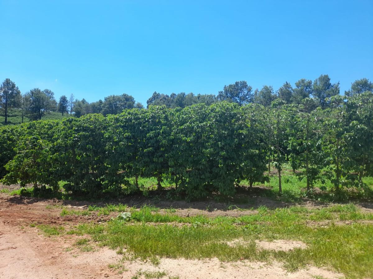 Fazenda, Centro, 1 Quarto, 1 Vaga, 1 Suíte