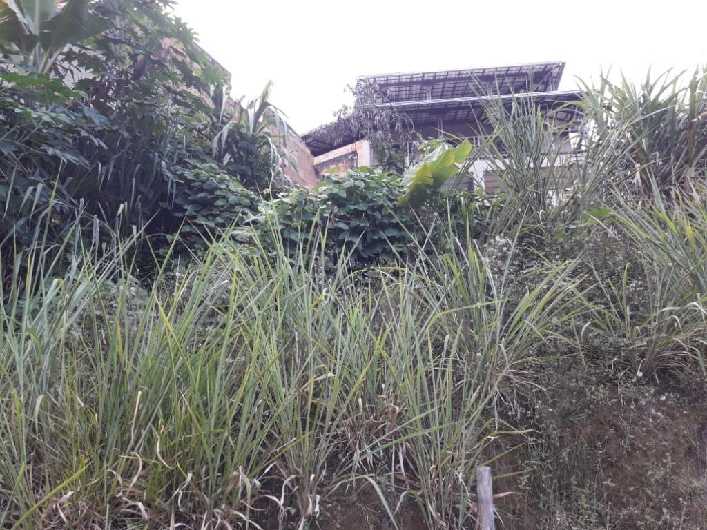 Lote, Morro São Francisco, 0 Quarto, 0 Vaga