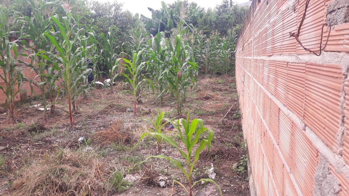 Lote, Vila Barroquinha, 0 Quarto, 0 Vaga