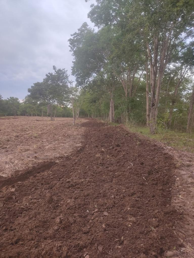 Fazenda, Zona Rural, 3 Quartos, 0 Vaga