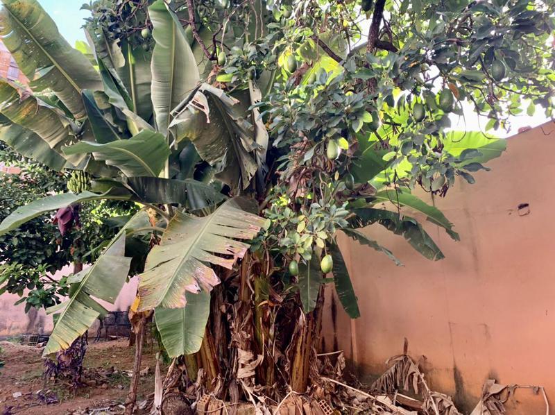 Casa, Salgado Filho, 4 Quartos, 3 Vagas, 1 Suíte