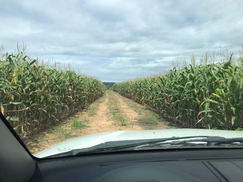 Fazenda, Centro, 3 Quartos, 0 Vaga