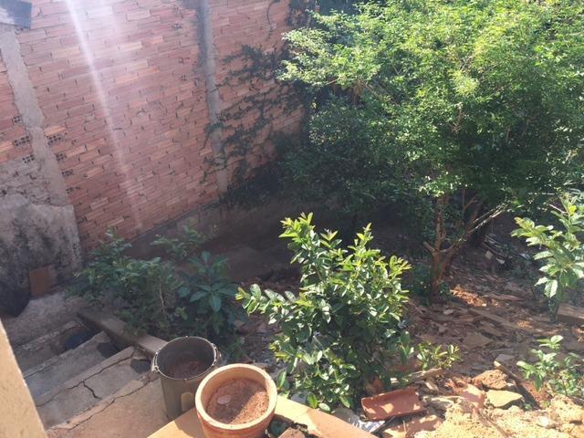 Apartamento, Palmeiras, 3 Quartos, 0 Vaga