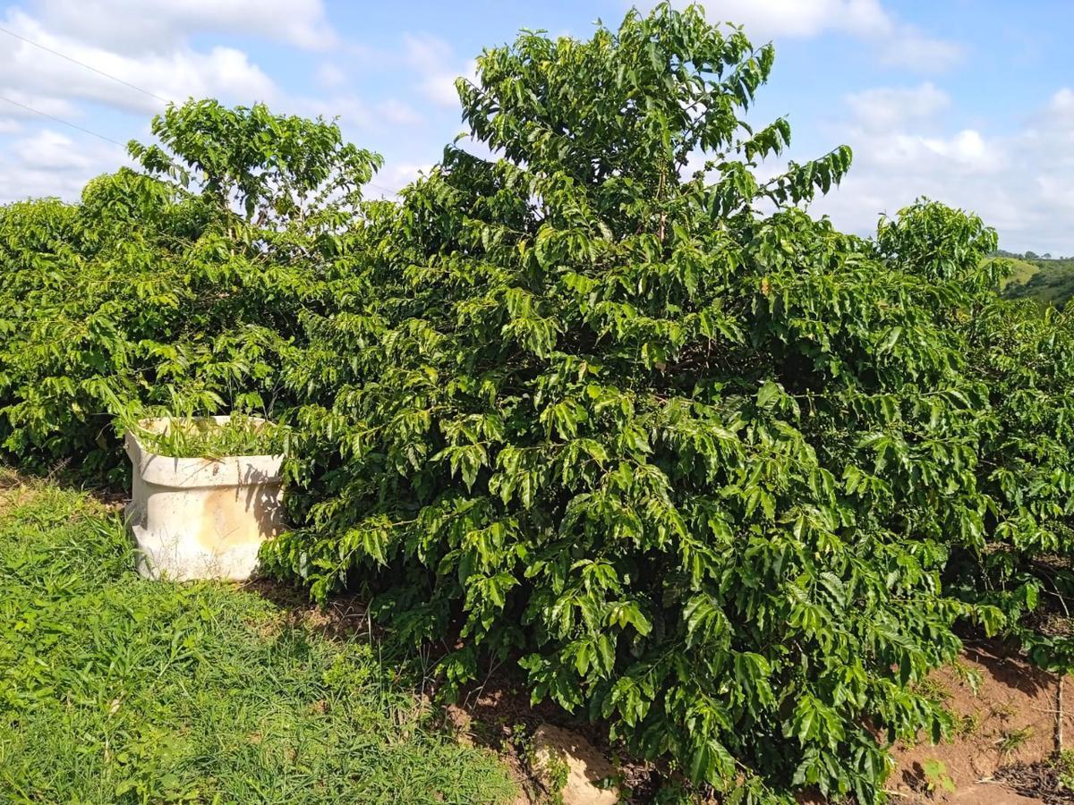 Fazenda, Zona Rural, 0 Quarto, 0 Vaga