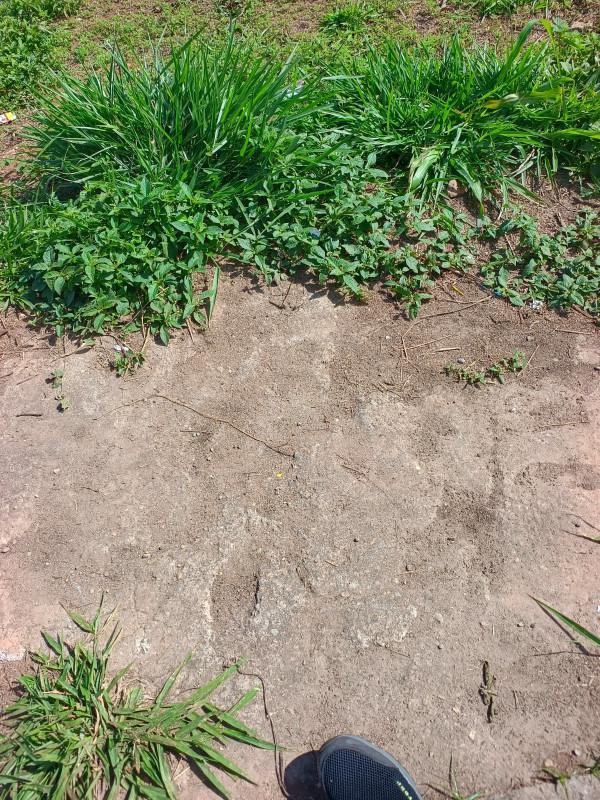 Lote, Parque Maracanã, 0 Quarto, 0 Vaga