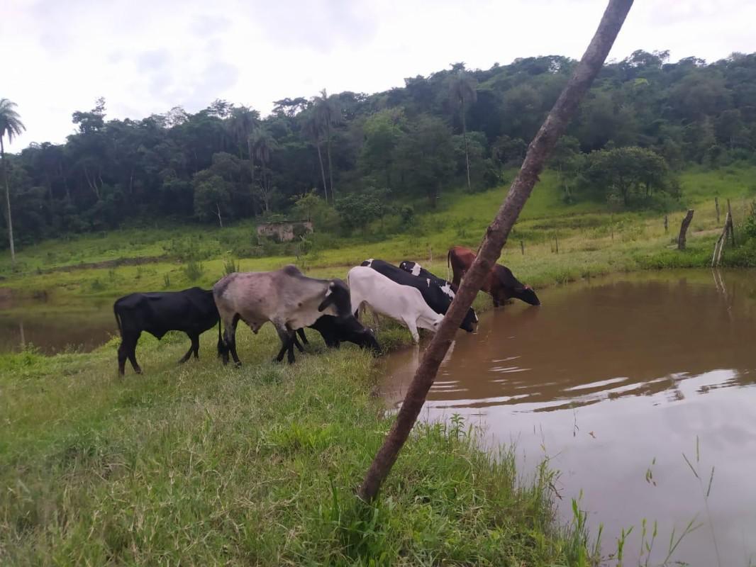 Lote, Bandeirinhas, 3 Quartos, 10 Vagas