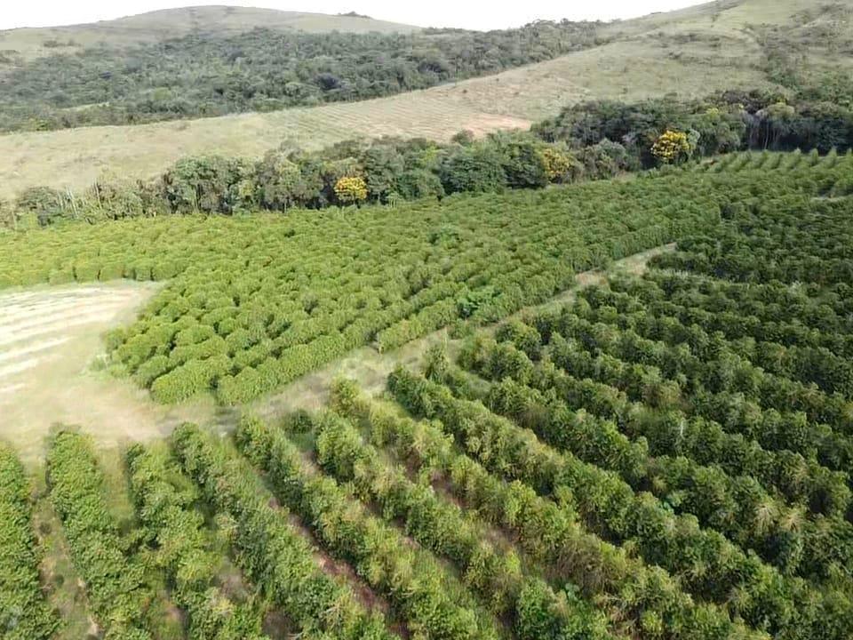 Fazenda, Zona Rural, 0 Quarto, 0 Vaga