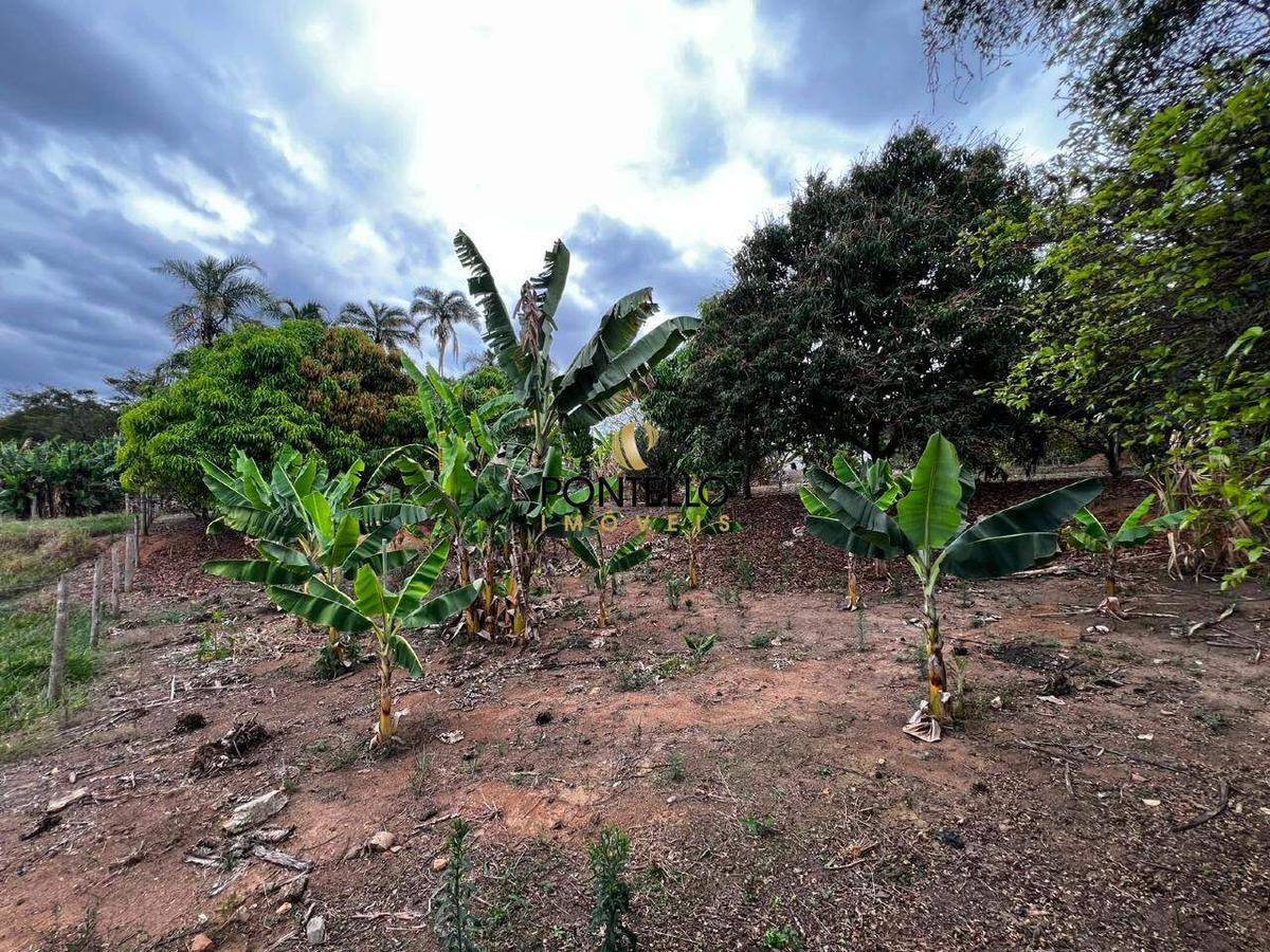 Fazenda, Universitário, 4 Quartos, 3 Vagas, 1 Suíte
