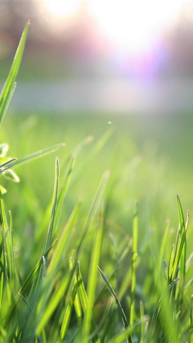 Lote, Açude, 0 Quarto, 0 Vaga