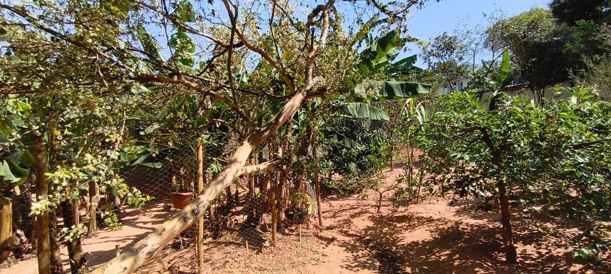 Lote, São Bernardo, 0 Quarto, 0 Vaga