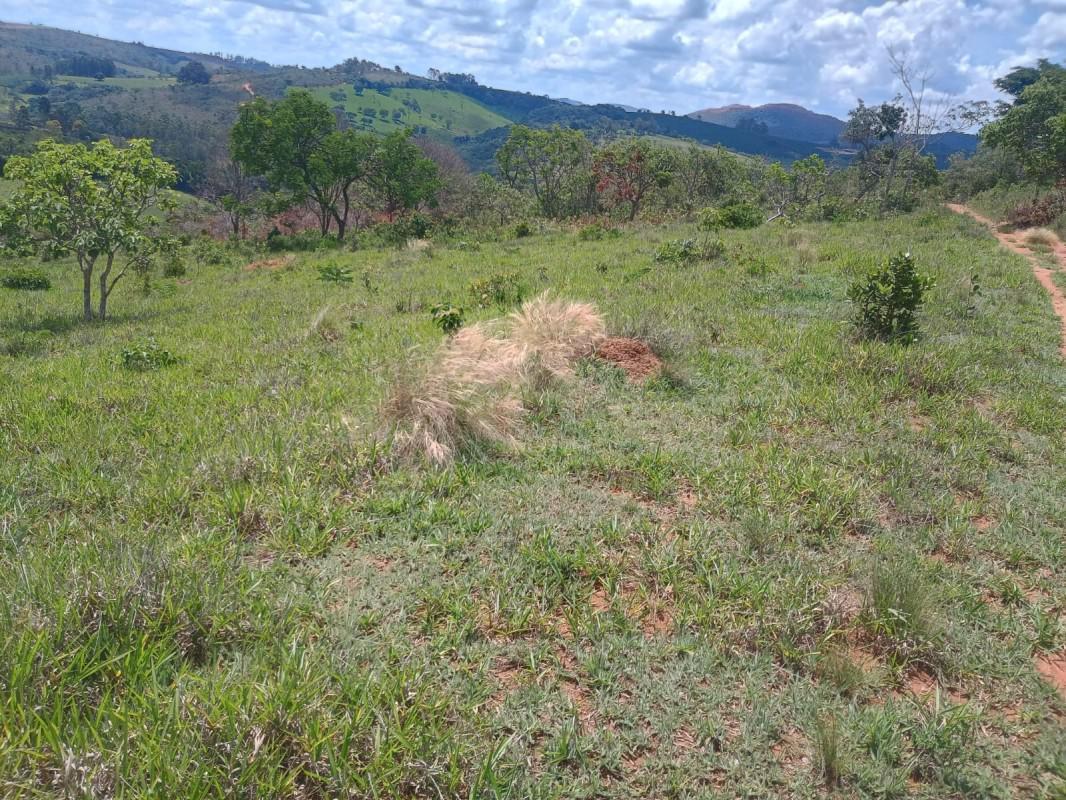 Fazenda, Zona Rural, 0 Quarto, 0 Vaga