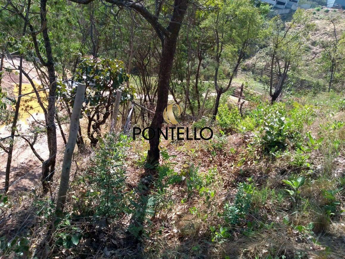 Lote, Estoril, 0 Quarto, 0 Vaga