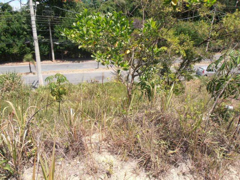 Lote, Jardim Casa Branca, 0 Quarto, 0 Vaga