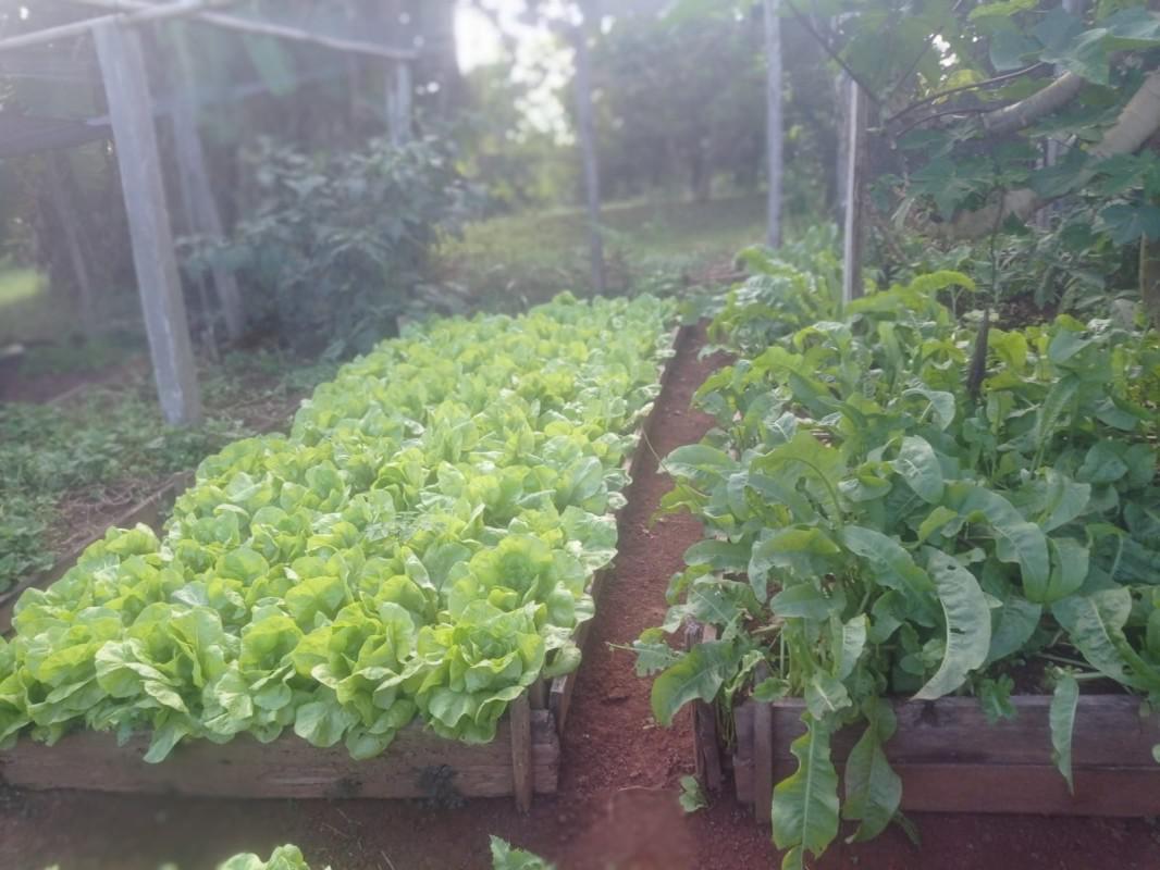 Fazenda, Zona Rural, 3 Quartos, 0 Vaga, 1 Suíte