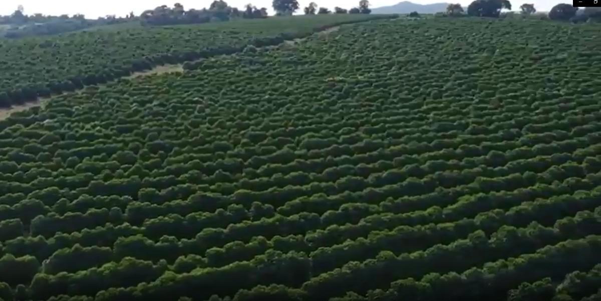 Fazenda, Zona Rural, 0 Quarto, 0 Vaga